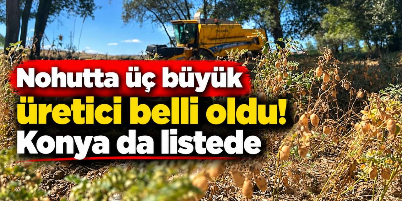Türkiye’nin tahıl ambarı Konya nohut üretiminde ilk üçe girdi
