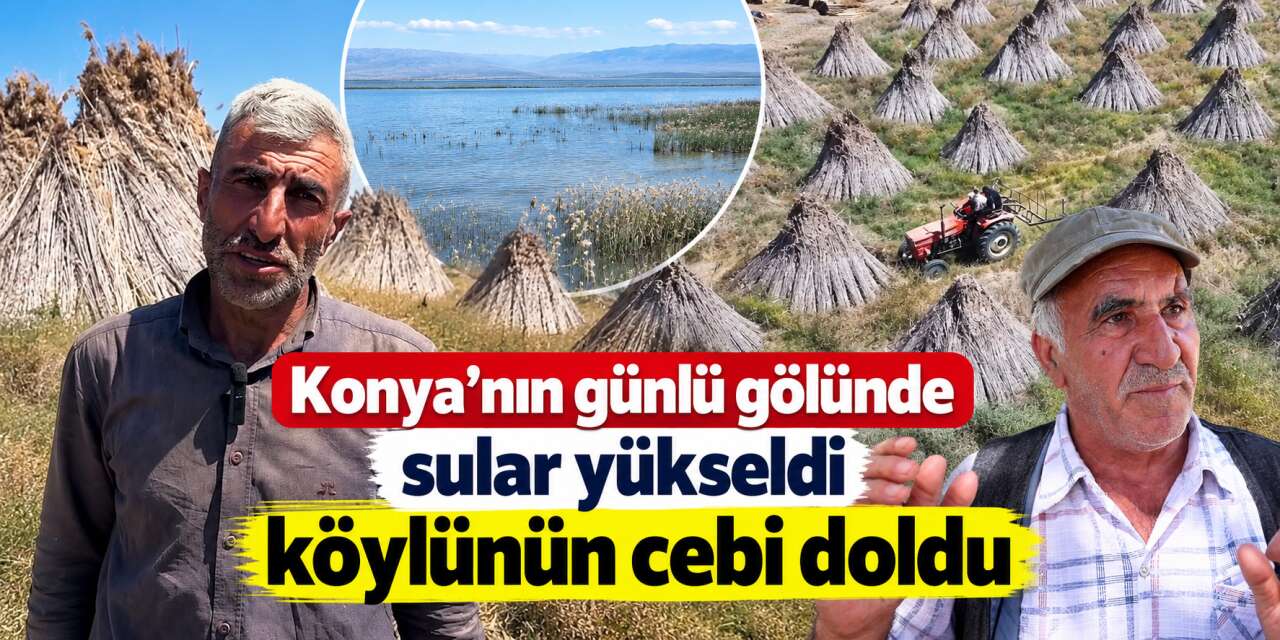 Konya’nın gölünde yetişiyor, Avrupa’ya uçuyor! 400 kişiye gelir kapısı
