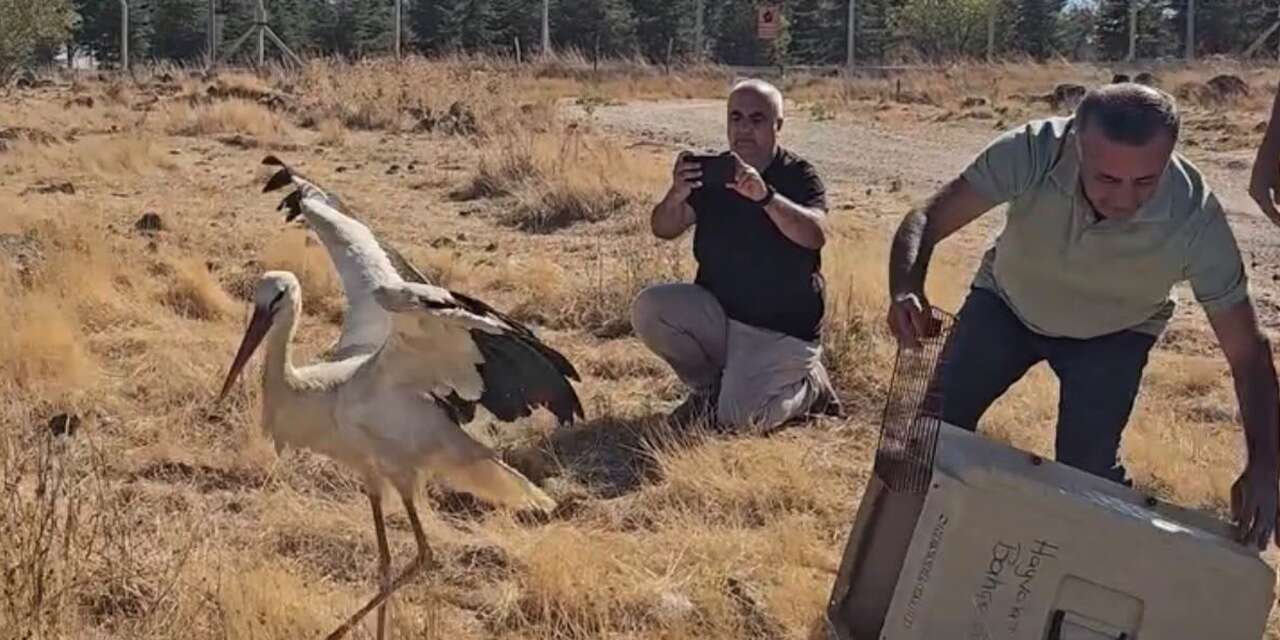 5 gün boyunca ölen eşinin başında bekledi