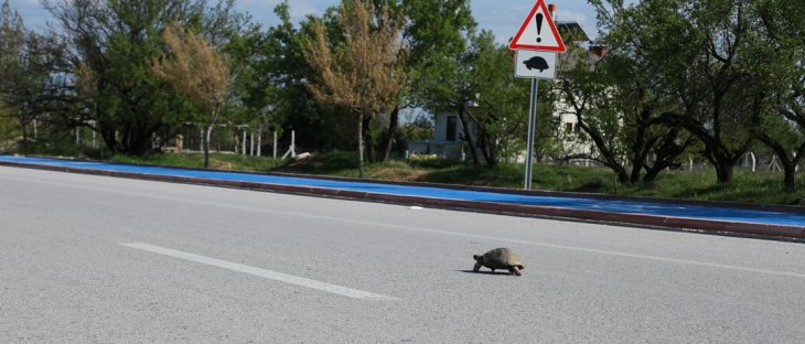 Sokağa çıkma yasağında Konya'dan ilginç kare!