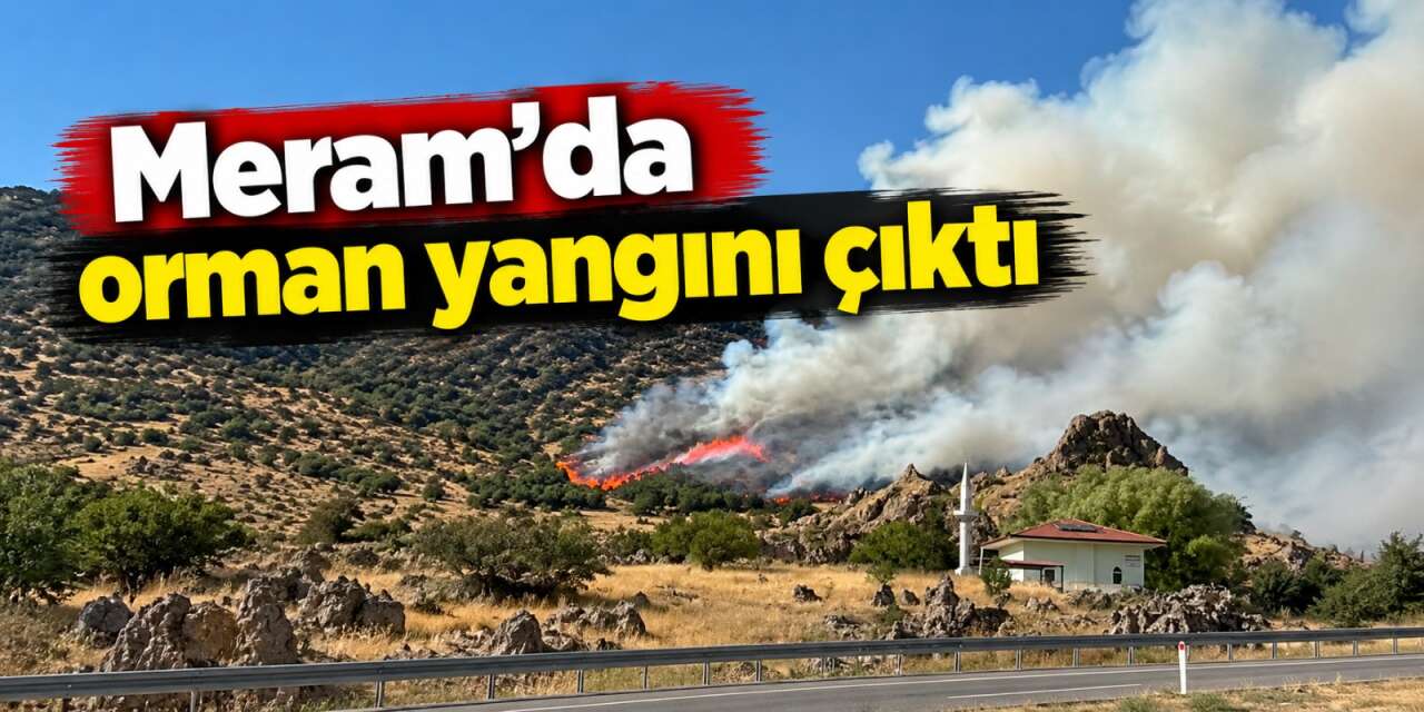 Konya’da ormanlık alanda yangın! Çok sayıda ekip müdahale ediyor