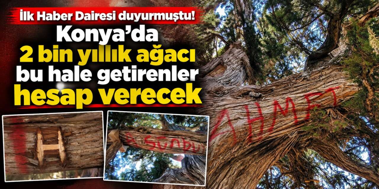 Haber Dairesi gündeme getirdi! Konya’daki anıt ardıca yapılanlar cezasız kalmayacak