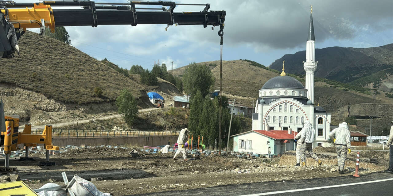 Arı kovanı taşıyan TIR 5 metrelik çukura devrildi! Yol arılarla doldu