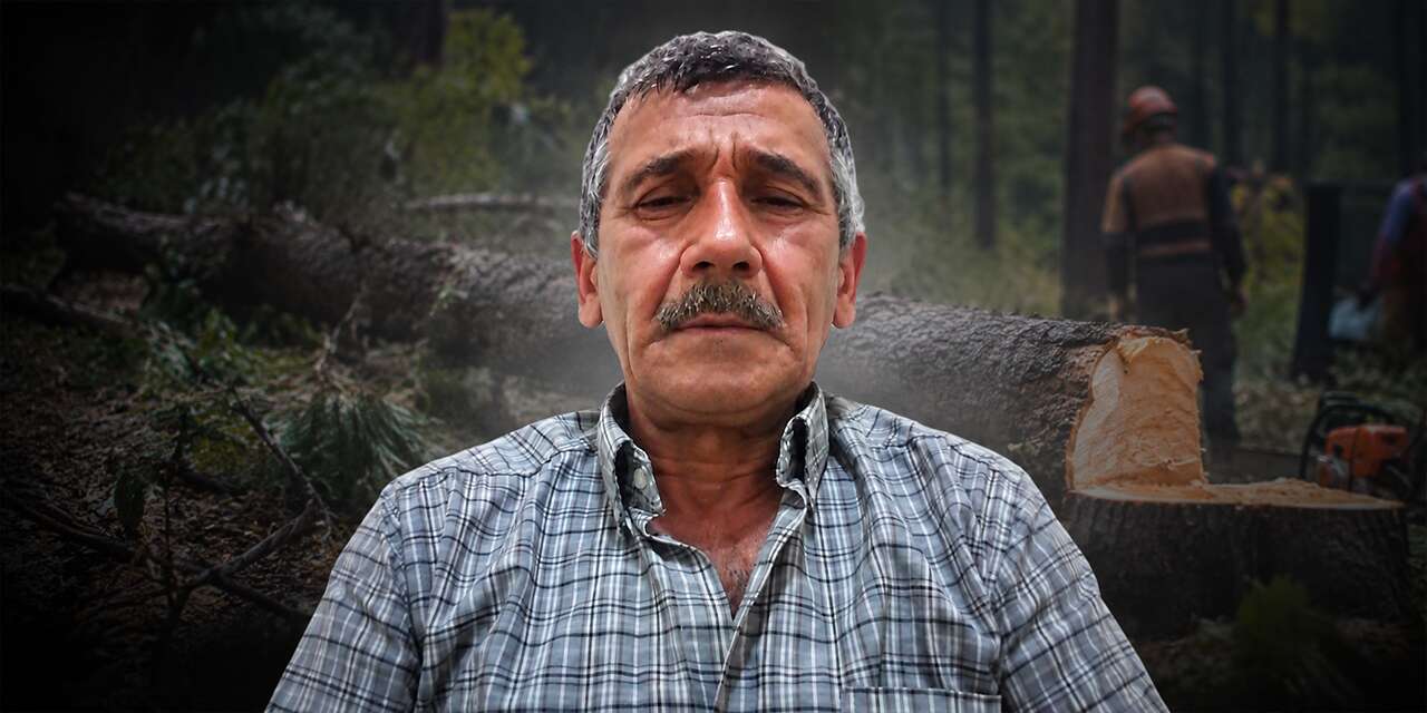 Kesilen ağaç orman işçisi Mehmet Çakır’ın ölümüne neden oldu
