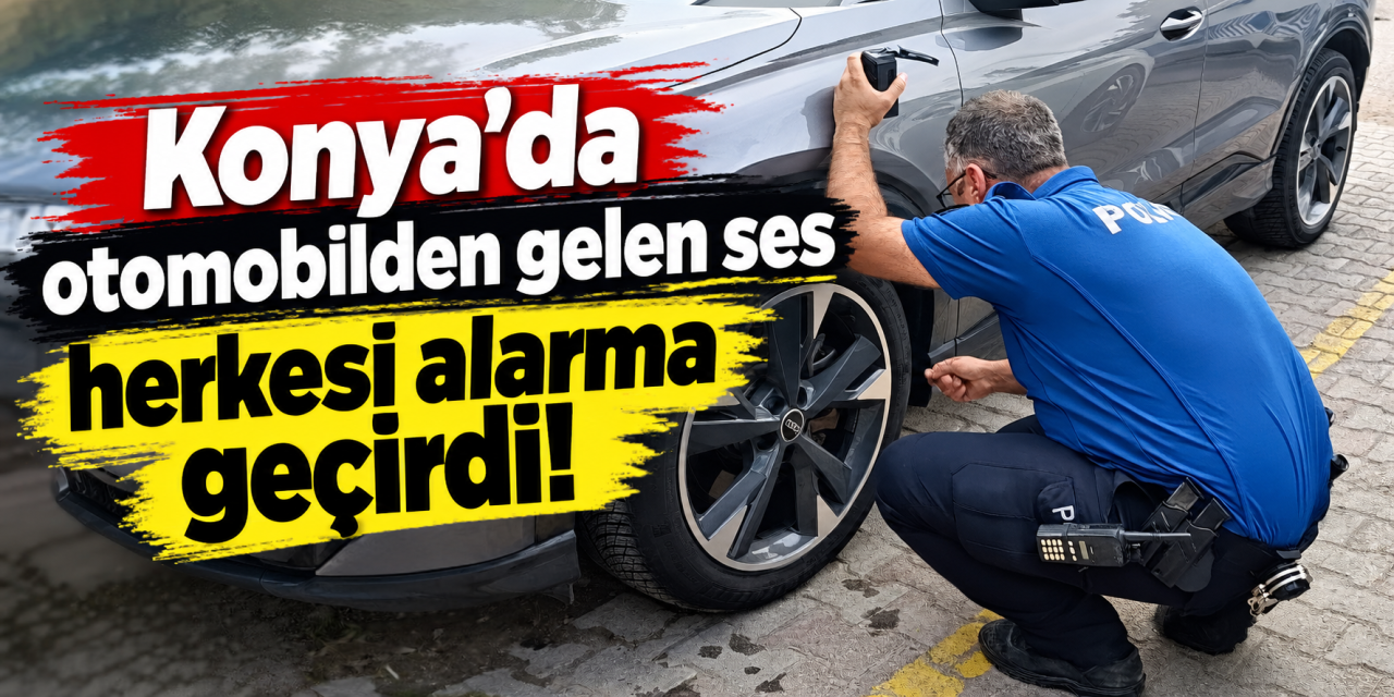 Konya’da yürek ısıtan kurtarma! Minik kedi için herkes seferber oldu