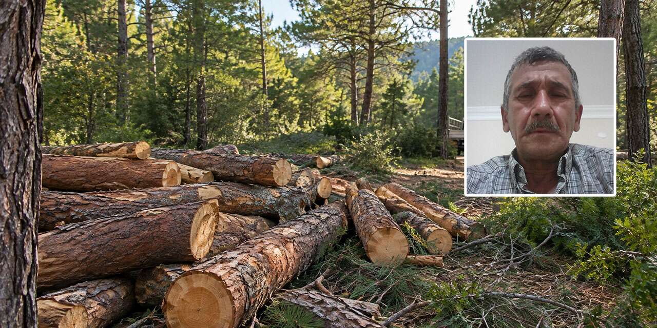 Ormanda akılalmaz ölüm! Ağaç dalı 68 yaşındaki işçiyi hayattan kopardı