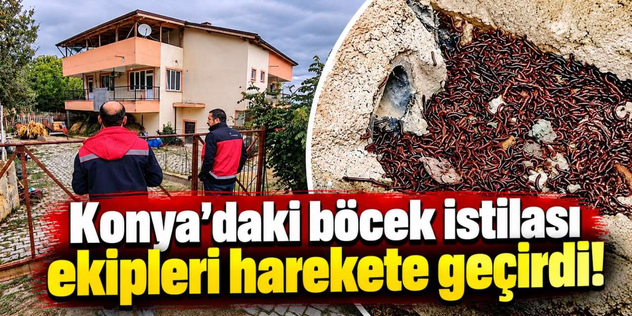 Konya’da evlerini böcek basan ailenin beklediği yardım geldi