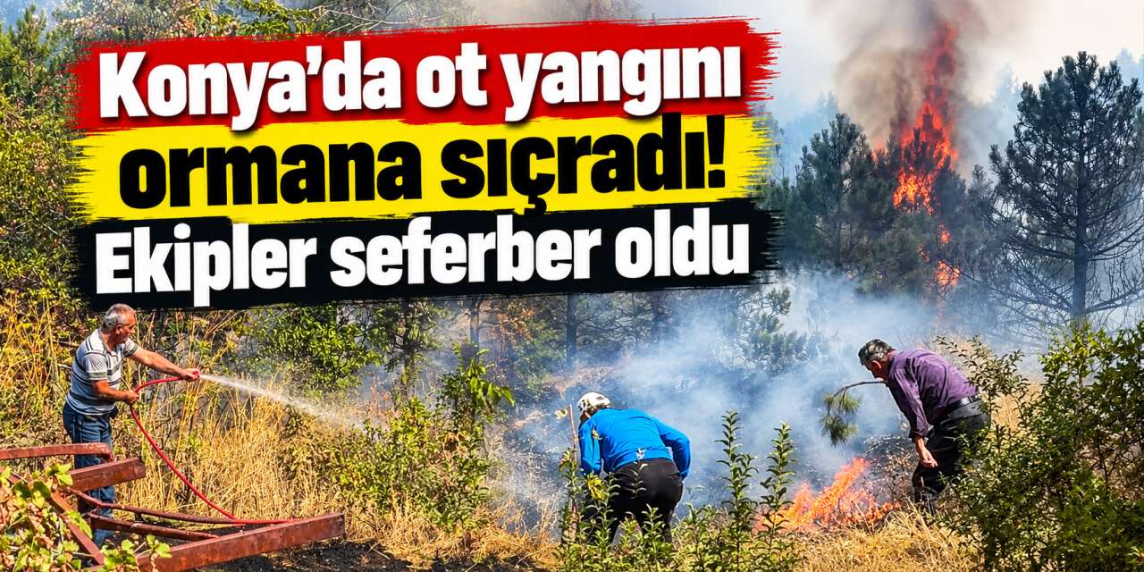Konya’da yangın çıktı, alevler ormana sıçradı