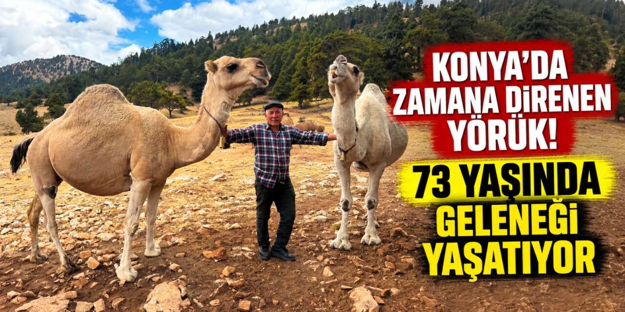 Konya yaylalarında Yörük hayatı! Develerini satmadı, asırlık geleneği yaşattı