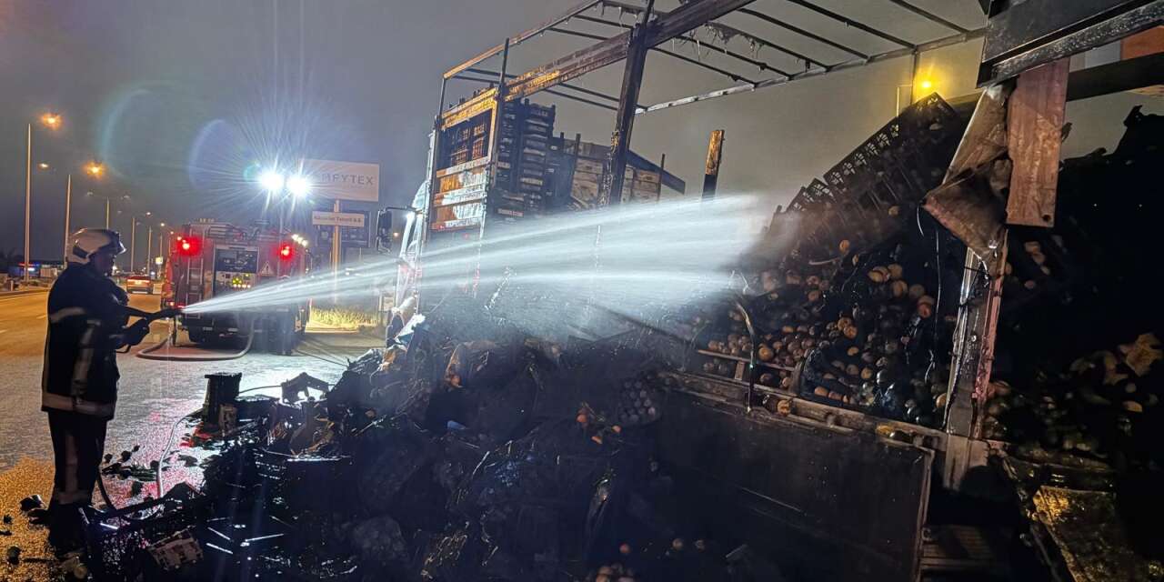 Sebze ve meyve yüklü kamyon alevlere teslim oldu