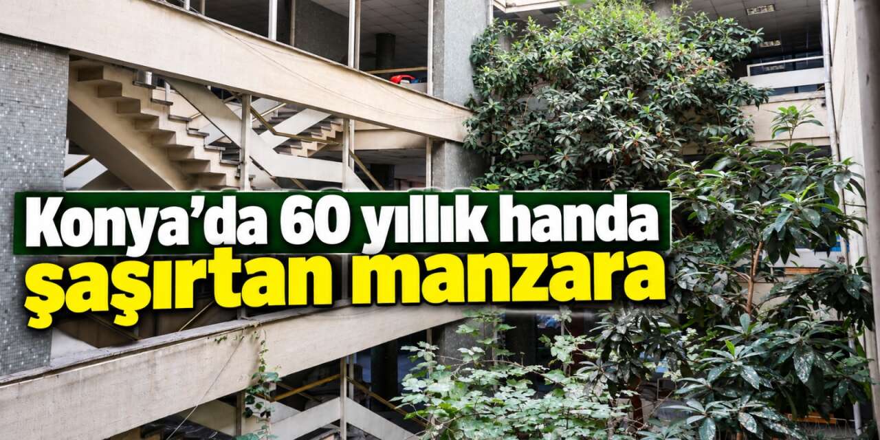Konya’nın kalbinde sıra dışı görüntü! 60 yıllık hanın içinde meyve veriyor