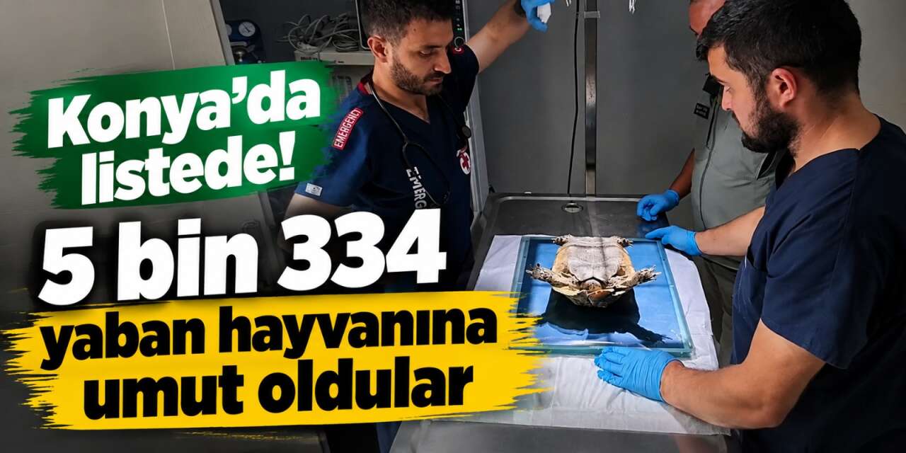 Konya dahil 11 ilde yaban hayatı için büyük mücadele! Açıklanan rakam şahane