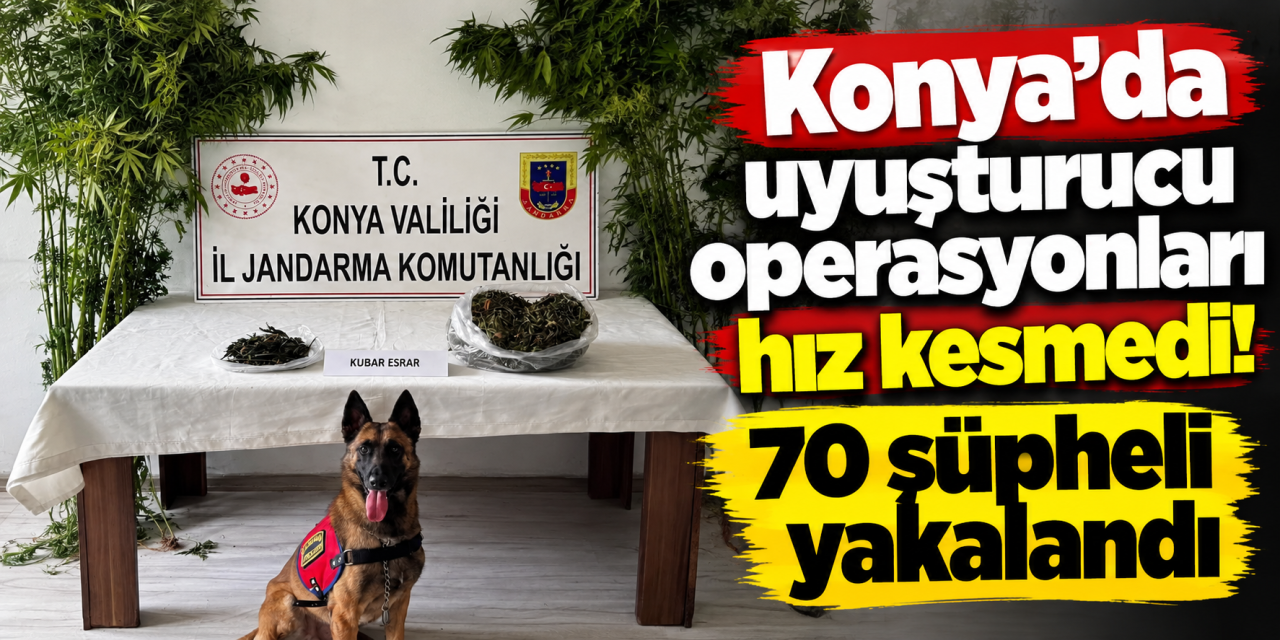 Konya’da jandarma düğmeye bastı! 8 kilo uyuşturucu ele geçirildi, 70 kişi yakalandı