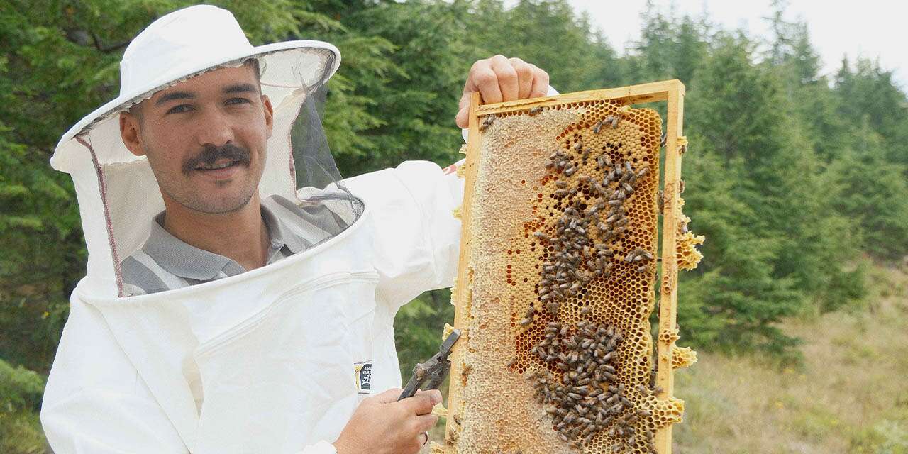 Konya Büyükşehir’den bal gibi destek! Genç arıcı kovan sayısını üçe katladı