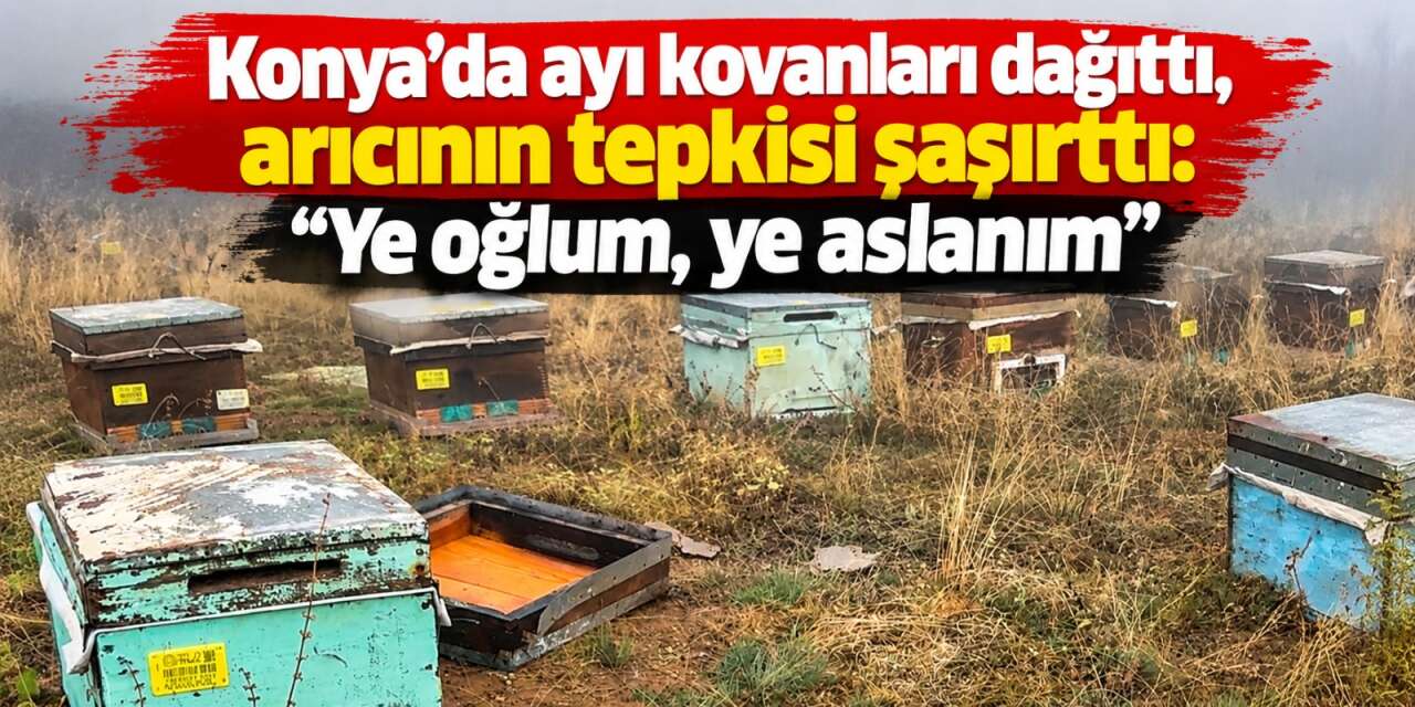 Konya’nın 2 bin 500 rakımlı yaylasında ayı kovanları talan etti! Arıcının tepkisi gülümsetti