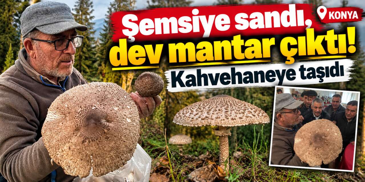 Konya’da bulduğu mantara kendisi de inanamadı! “Önce şemsiye sandım”