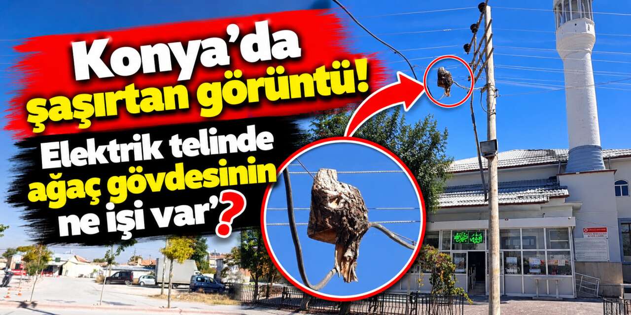 Yer Konya! Ne ağacı ne de teli kurtarabildiler! Geriye bu görüntü kaldı