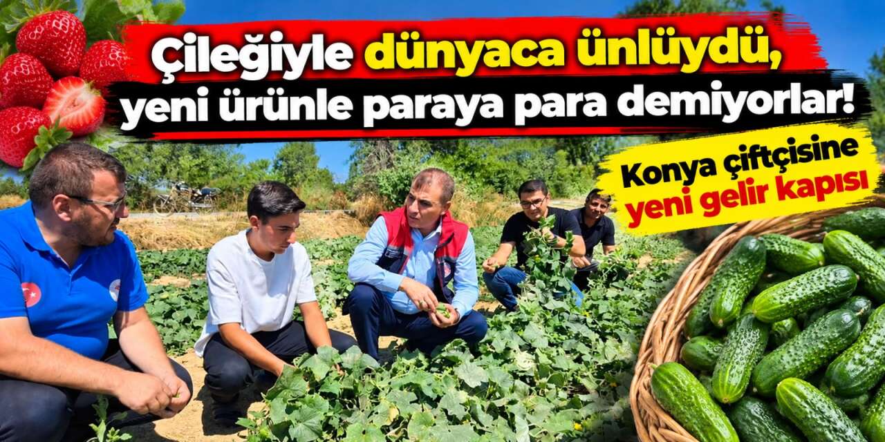 Konya’da küçük ama getirisi büyük ürün! Çiftçinin cebini dolduruyor