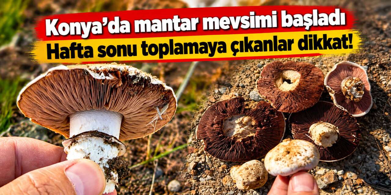 Konya'da sonbaharın beklenenleri her yerde görülmeye başladı! Bunlara dikkat