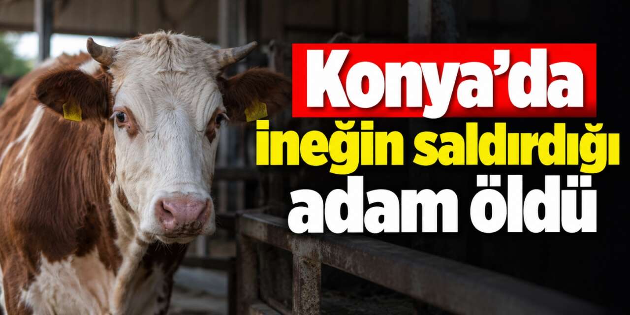 Konya'da ahıra girdi, ineğin saldırısında öldü