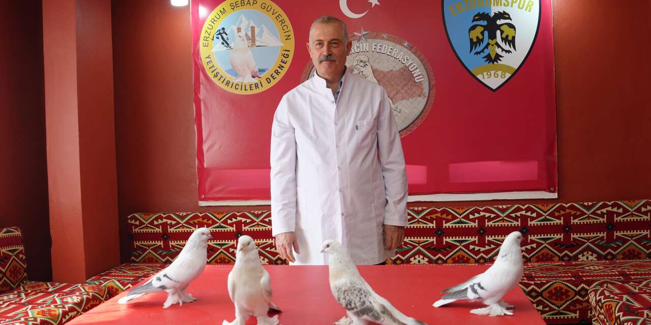 Emekli astsubayın dikkat çeken tutkusu! Güvercinlerine 3+1 ev kiraladı