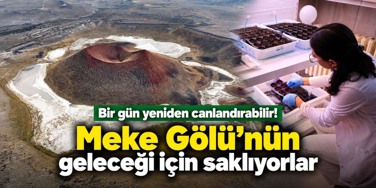 Meke Gölü’nün sırrı laboratuvarda saklanıyor! Eksi 80 derecede koruyorlar