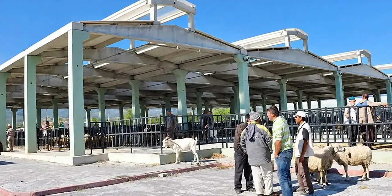 Konya’da koyun ve keçi vebası görüldü! Mal Pazarı kapatıldı
