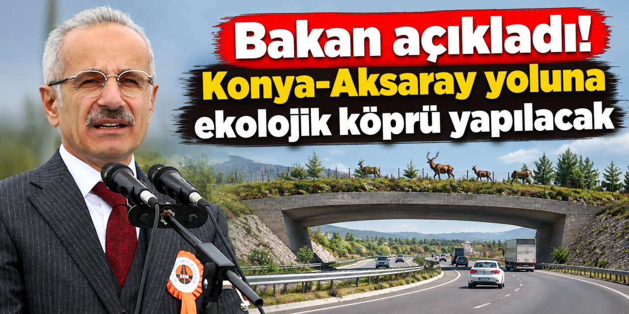Konya - Aksaray yoluna yeni köprü geliyor! Ekolojik olacak