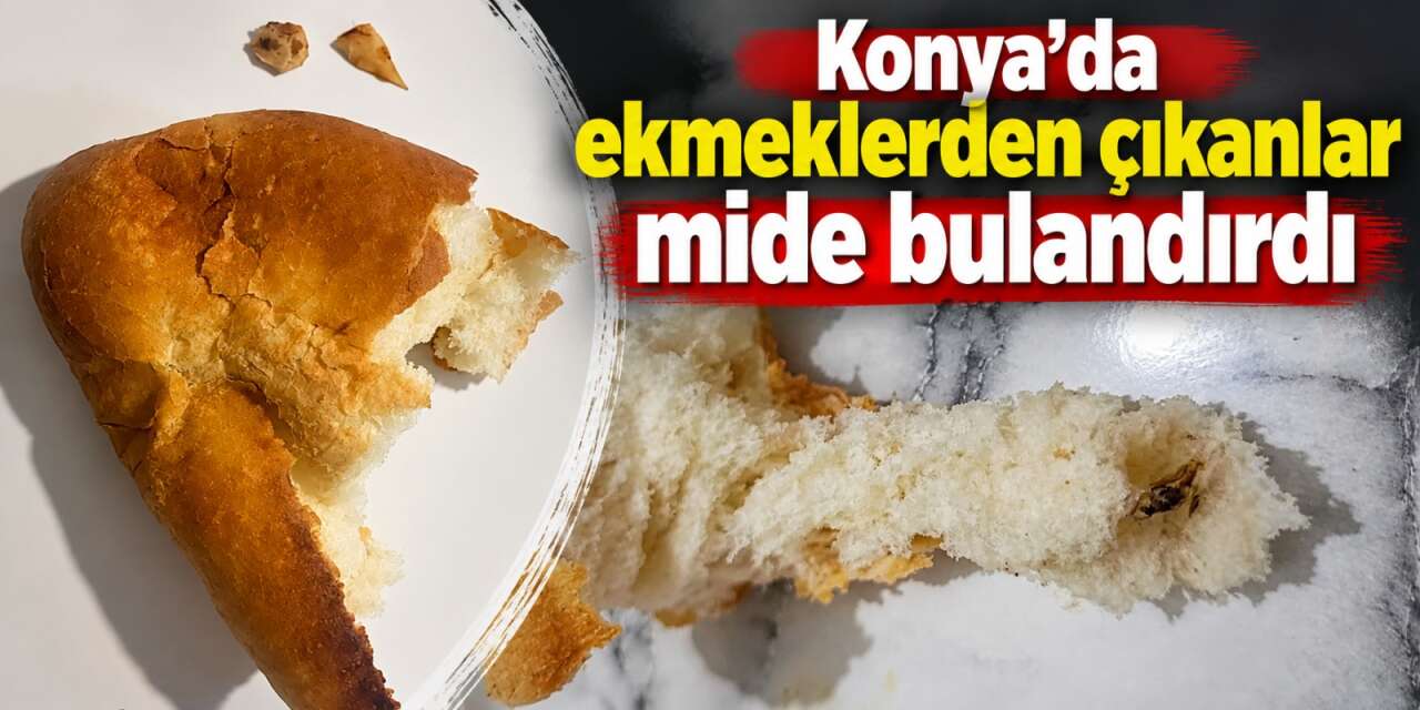 Konya’da hijyen skandalı! Birinden böcek, diğerinden kemik çıktı