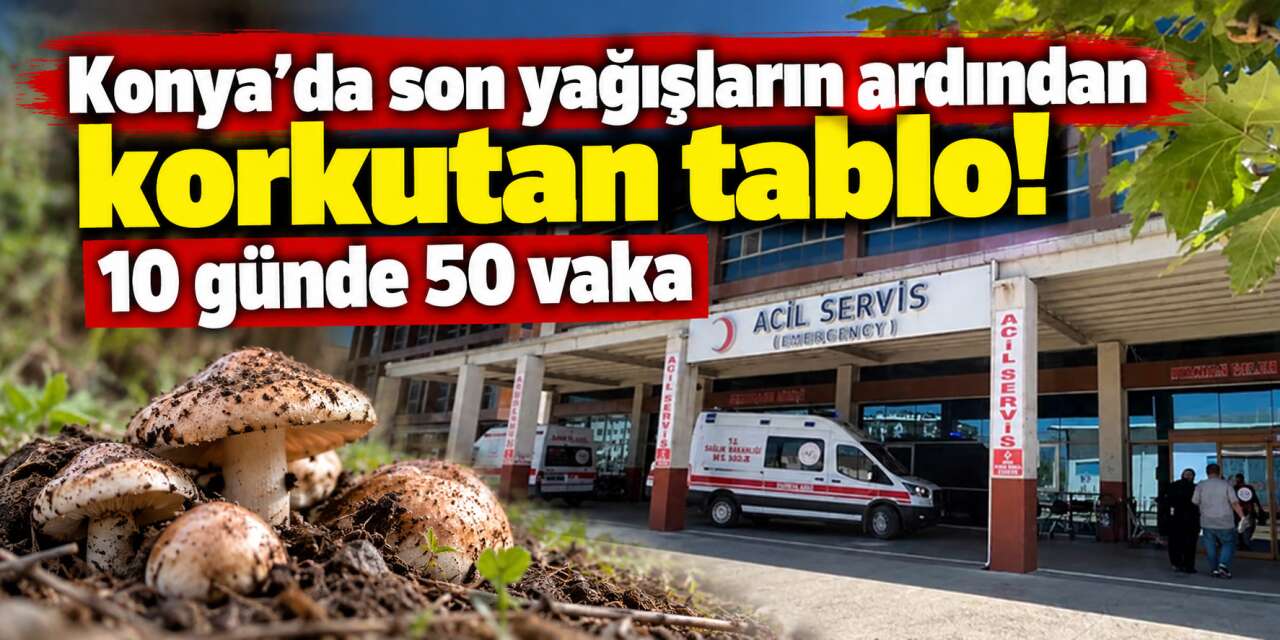 Konya’da mantar alarmı! Sadece bir ilçede 50 kişi hastanelik oldu
