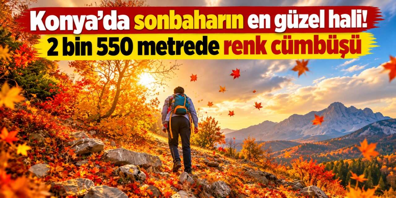 Konya’da doğa renk değiştirdi! Görenleri kendine hayran bırakıyor