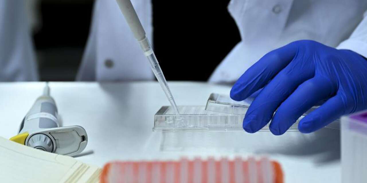 Yasa dışı üreme şebekesine operasyon! Doktorların da aralarında bulunduğu 36 gözaltı