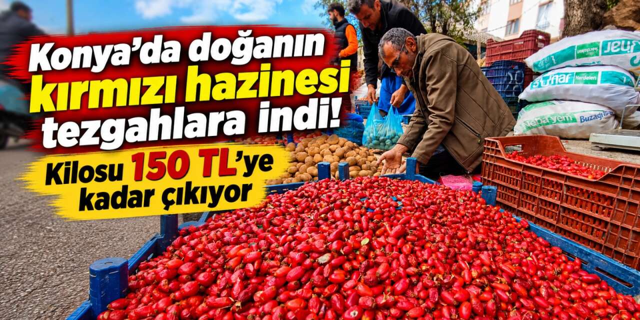Konya’da dağlarda hareketlilik arttı! Dikenli dallardan gelen şifa tezgahlardaki yerini aldı
