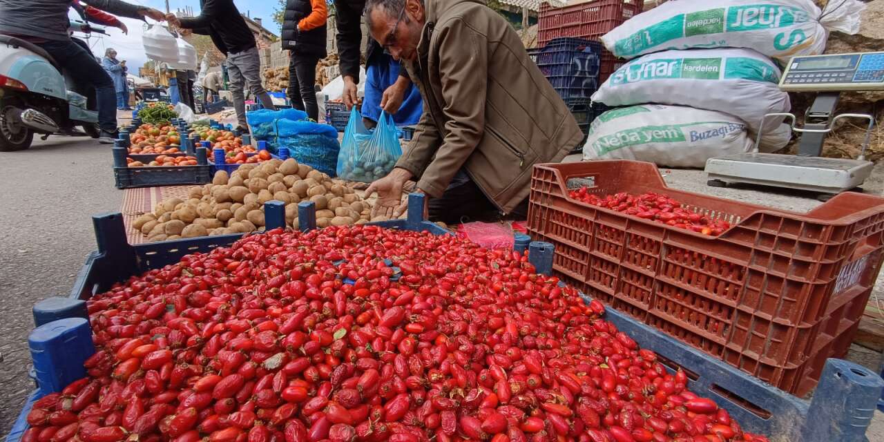 Konya’da dağlarda hareketlilik arttı! Dikenli dallardan gelen şifa tezgahlardaki yerini aldı