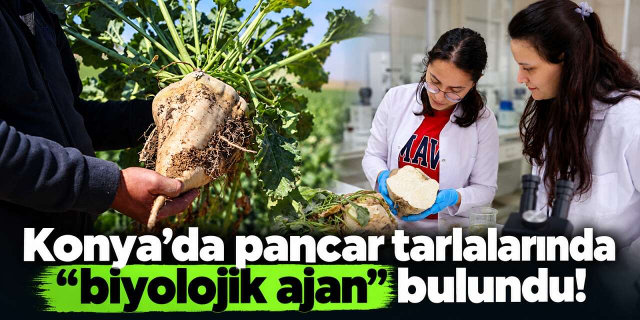 Konya’da tarımın geleceğini değiştirecek keşif! Gübre ve su tüketimini azaltıyor