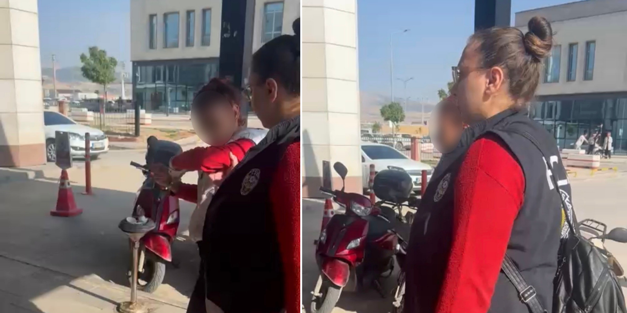 Karnını doyuran kediye taşla saldıran kadın yakalandı
