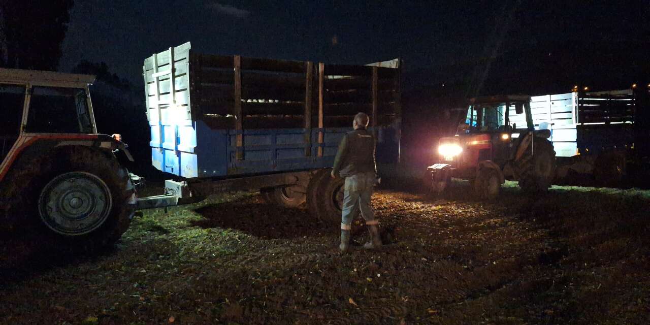 Uyarı sonrası çiftçiler hızlandı! Pancar hasadında gece mesaisi başladı