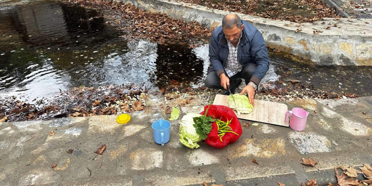 Konya'dan da gidiyor! Türkiye'nin meşhur turşusunun sırrı 700 yıllık çınarların altında