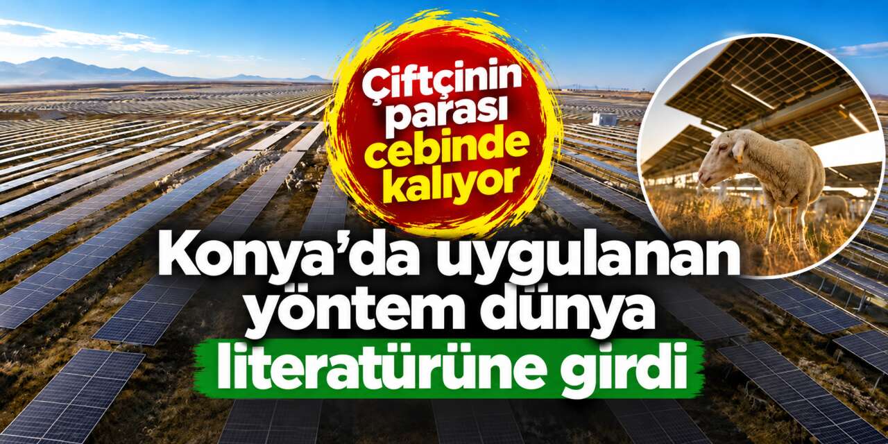 Konya’da çiftçiye kazandıran yöntem ABD’de bilim insanlarını şaşırttı