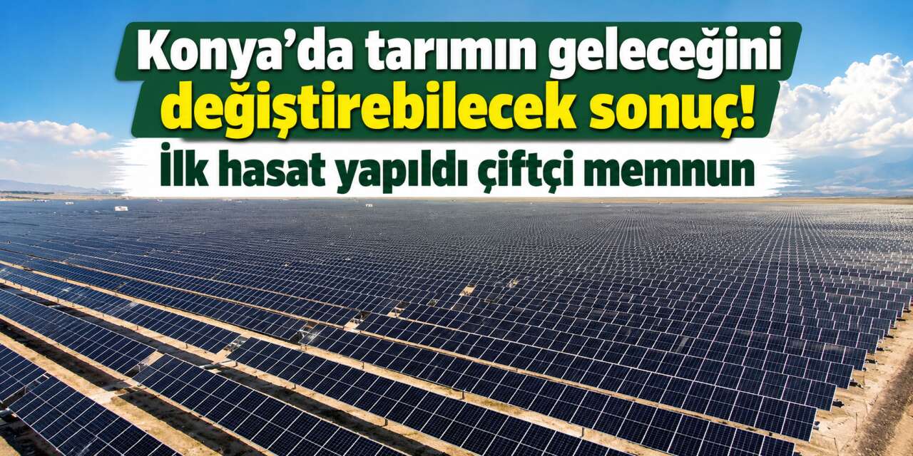 Konya Ovası'nda bir ilk! Aynı tarladan hem elektrik hem ürün elde edildi