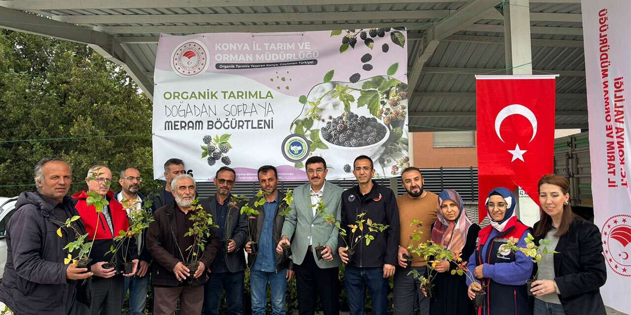 Konya’nın böğürtleni değer kazanıyor! 7 üreticiye destek verildi