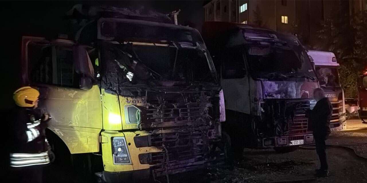 Park halindeki TIR bir anda alev aldı! Yangın diğer araca da sıçradı