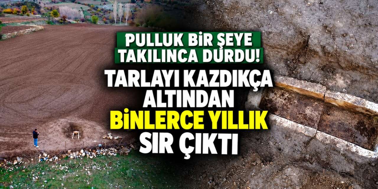 Tarlasını süren çiftçiye büyük sürpriz! Hayatının şokunu yaşadı