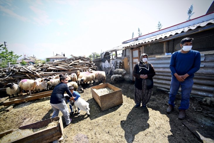 Konya'da koyunları telef olan ailenin hüznü sevince döndü