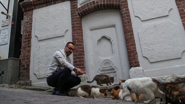 Yiyecek bulamayan kedi ve martılara mahalle imamı sahip çıktı