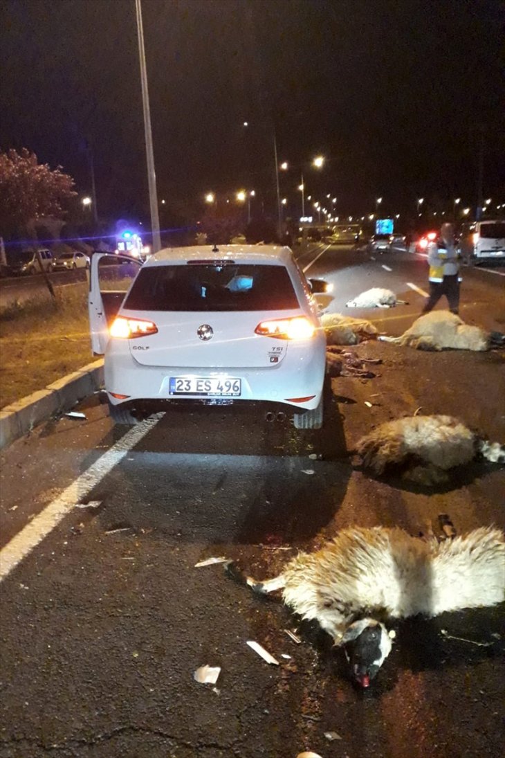 İki otomobil koyun süresine çarptı, 2 kişi yaralandı, 20 koyun telef oldu