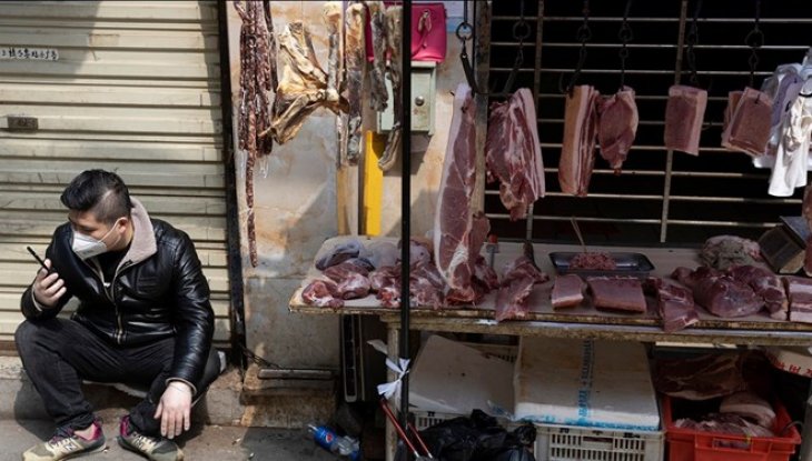 Virüsün çıkışıyla ilgili yeni açıklama