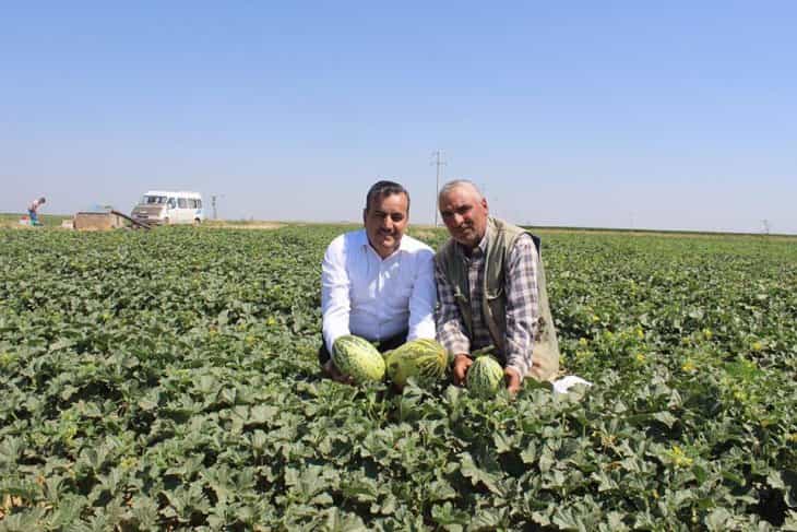 Başkan Oflaz: Çumra ülke tarımında bir 'inci'