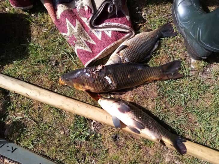 Beyşehir Gölü’nde zıpkınla avlanan 4 kişiye 46 bin lira ceza