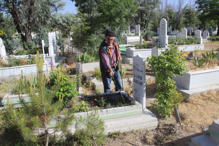 Konya'da mezarlıktan ağaç hırsızlığı